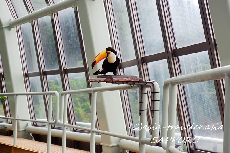 札幌　円山動物園